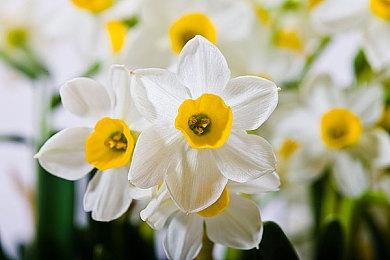 《MLB22 》将于4月5日发售 今日开启预售 首次登陆NS